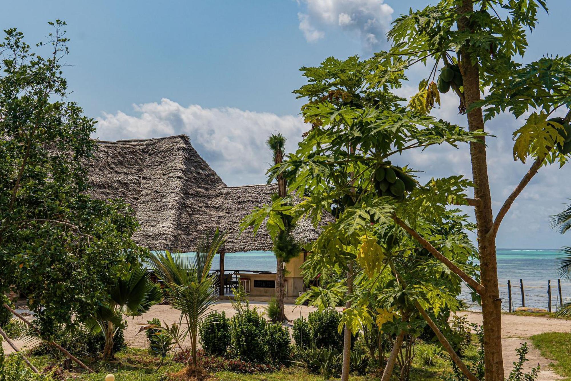 Jaribu Beach Hotel Paje Extérieur photo